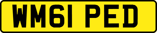 WM61PED