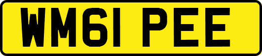 WM61PEE
