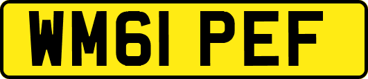 WM61PEF