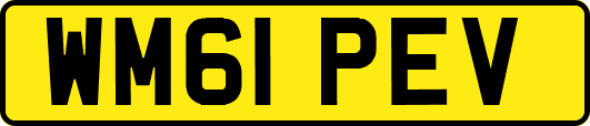 WM61PEV