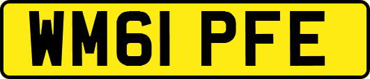 WM61PFE