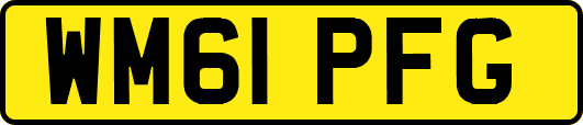 WM61PFG