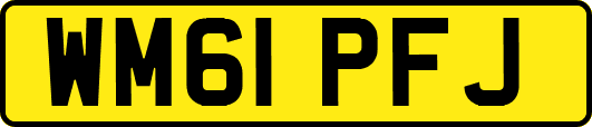 WM61PFJ