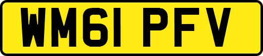 WM61PFV