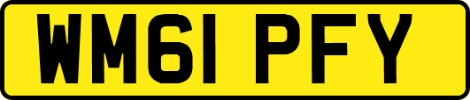 WM61PFY