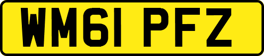 WM61PFZ