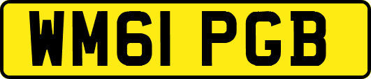 WM61PGB