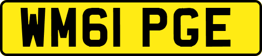 WM61PGE