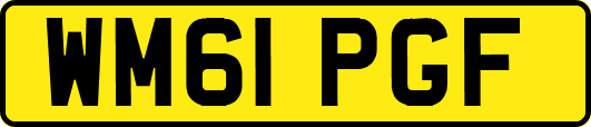 WM61PGF