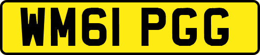 WM61PGG