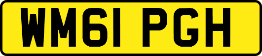 WM61PGH