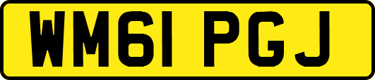WM61PGJ