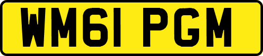 WM61PGM