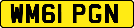 WM61PGN