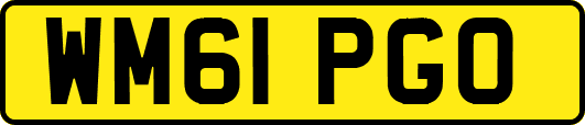 WM61PGO
