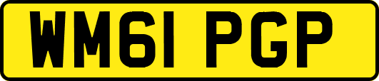 WM61PGP