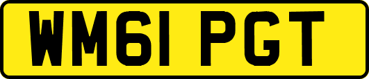 WM61PGT