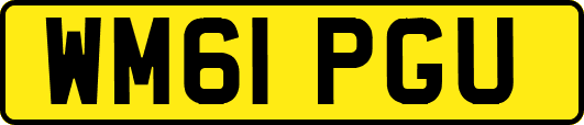 WM61PGU