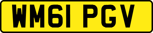 WM61PGV