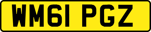 WM61PGZ