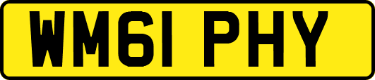 WM61PHY