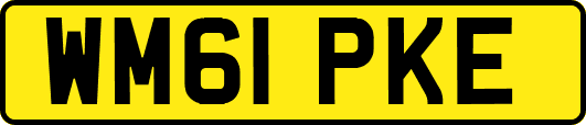WM61PKE