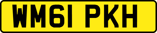 WM61PKH
