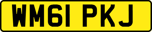 WM61PKJ
