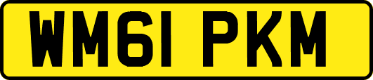 WM61PKM