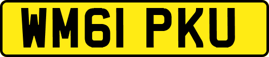WM61PKU