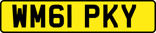 WM61PKY