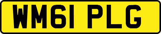 WM61PLG