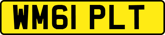WM61PLT