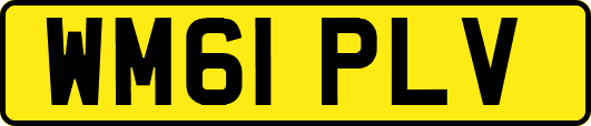 WM61PLV