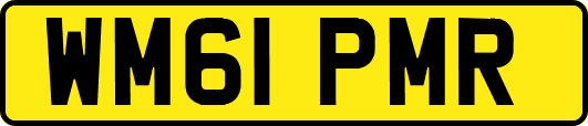 WM61PMR