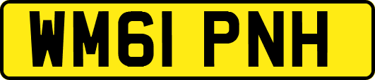 WM61PNH
