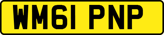 WM61PNP