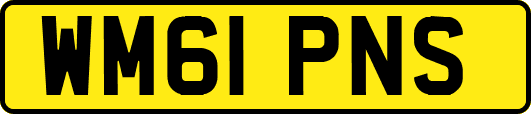 WM61PNS