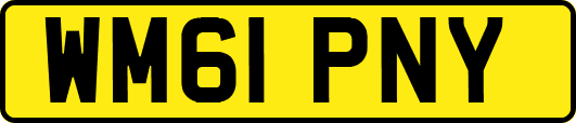 WM61PNY