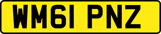 WM61PNZ