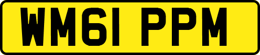 WM61PPM