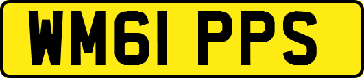 WM61PPS