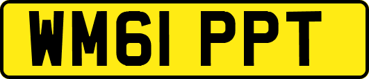 WM61PPT