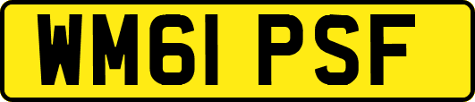 WM61PSF