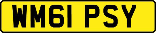 WM61PSY