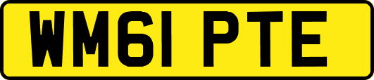 WM61PTE