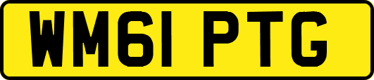 WM61PTG