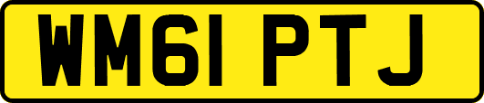 WM61PTJ