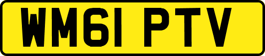 WM61PTV