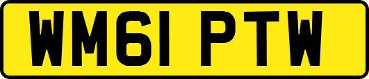 WM61PTW